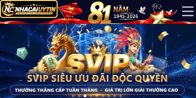 Quyền lợi VIP và SVIP được phân chia theo cấp độ