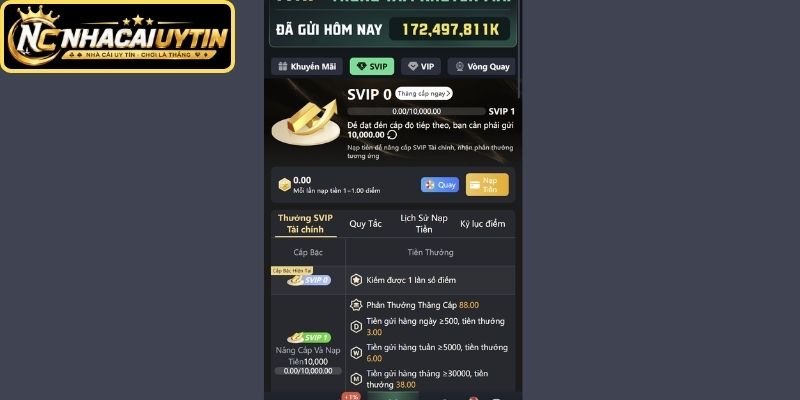 Đặc quyền VIP SVIP cùng quà sinh nhật giá trị